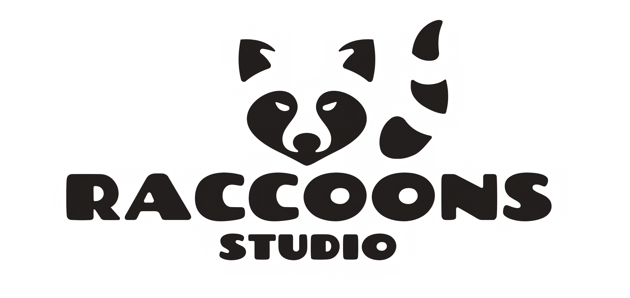 Raccoons Studio